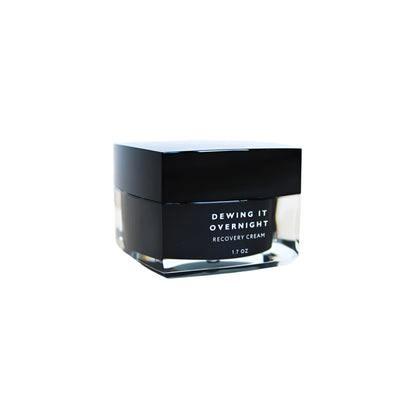 Fitish Beauty Dewing It Overnight Moisturizer