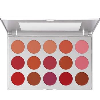 Kryolan Professional Blusher Set 15 Colors Blush Palettes   
