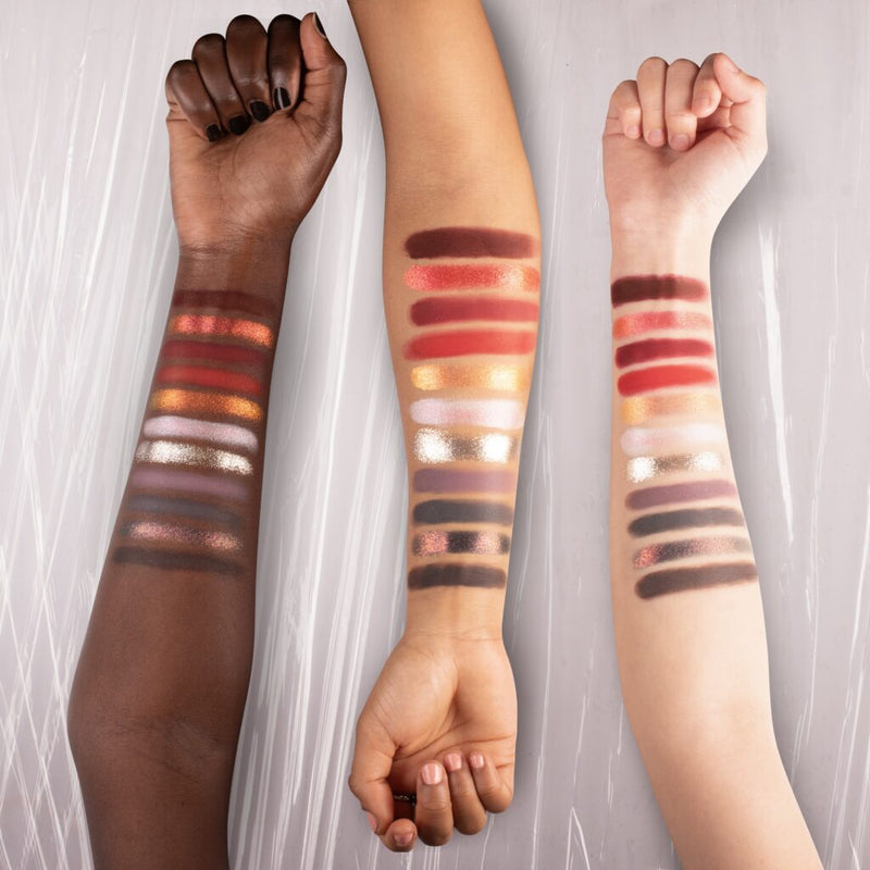Lethal Cosmetics Dexter 11 Pan Pressed Powder Palette Pigment Palettes