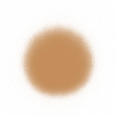 Temptu Perfect Canvas Hydra Lock Airpod Foundation Airbrush Foundation