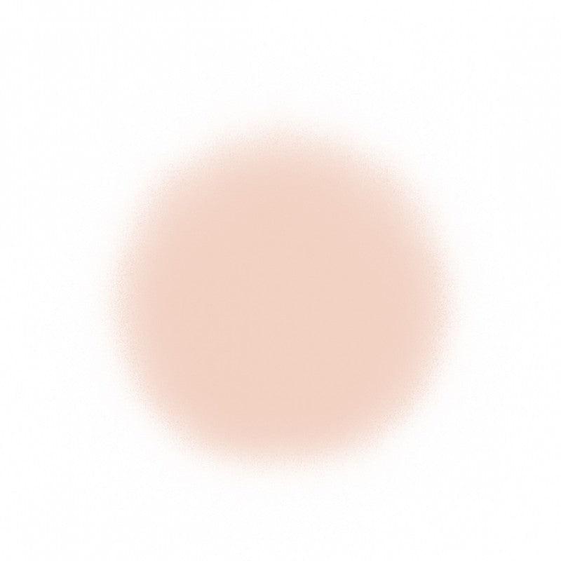 Temptu Perfect Canvas Hydra Lock Airpod Foundation Airbrush Foundation 1 Porcelain (Perfect Canvas)  