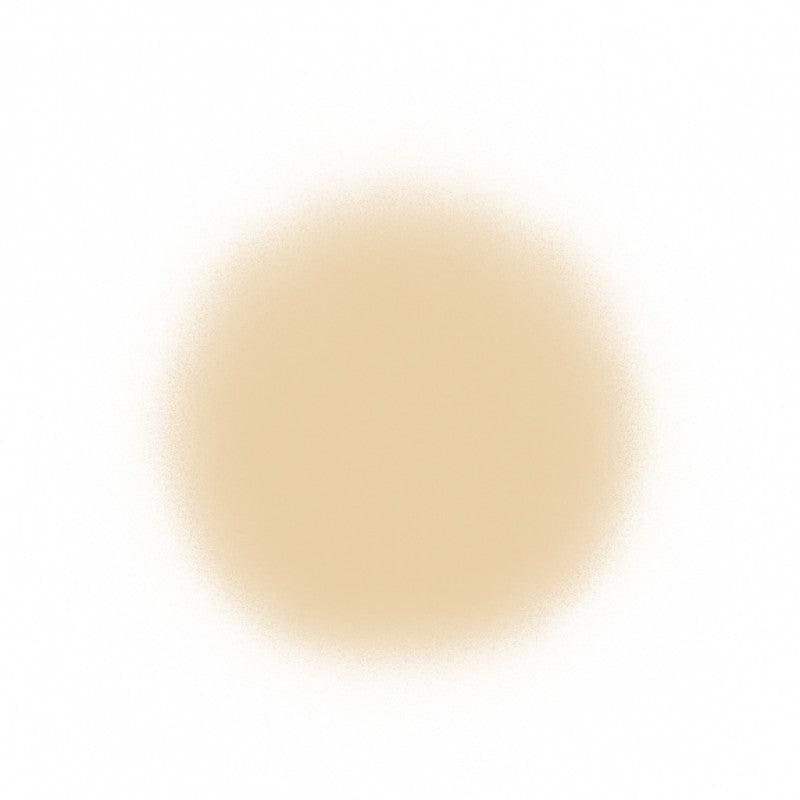 Temptu Perfect Canvas Hydra Lock Airpod Foundation Airbrush Foundation 2 Ivory (Perfect Canvas)  