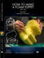 Stan Winston Studio How to Make a Foam Puppet (DVD) SFX Videos Part 1  
