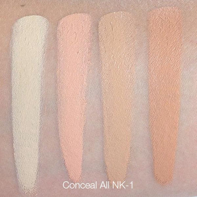 Ben Nye Special Color Wheel Concealer Palettes   