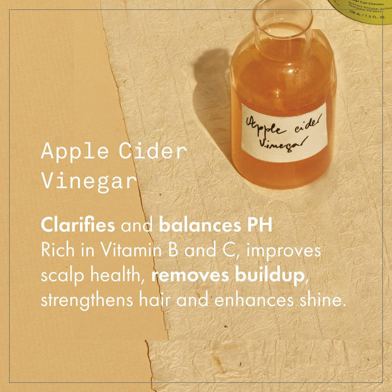 Fekkai Apple Cider Detox Shampoo Shampoo   