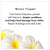 Fekkai Shea Butter Curl Refresher Leave-In Conditioner   