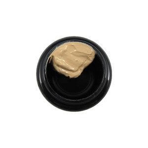 SAMPLE of Cinema Secrets Correctors Corrector Samples   