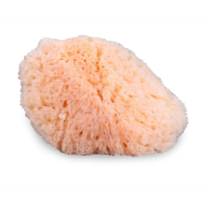 Mehron Natural Sea Sponge Applicator SFX Sponges   