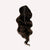 Insert Name Here Molly Ponytail Extension Hair Extensions