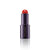 Kevyn Aucoin The Color Stick Blush Blooming  