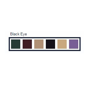 Kryolan Cream Color Circle Black Eye FX Palettes   