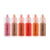 Temptu S/B Blush Airbrush Starter Set 1/4 oz Airbrush Blush   